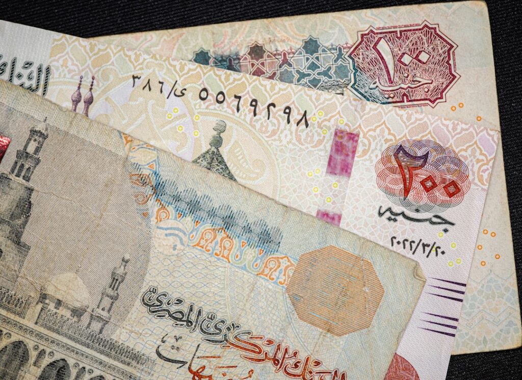 Foreign Exchange: Egypt’s Key to Economic Growth