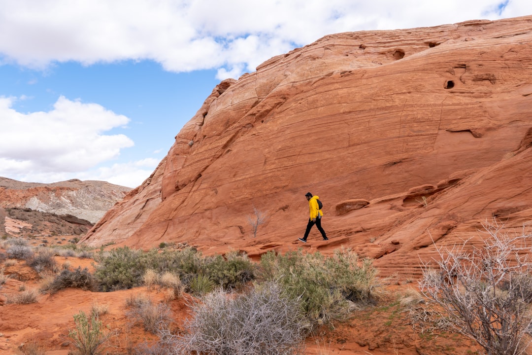 Eddie Bauer Files for Bankruptcy: What It Means for Retail Jobs