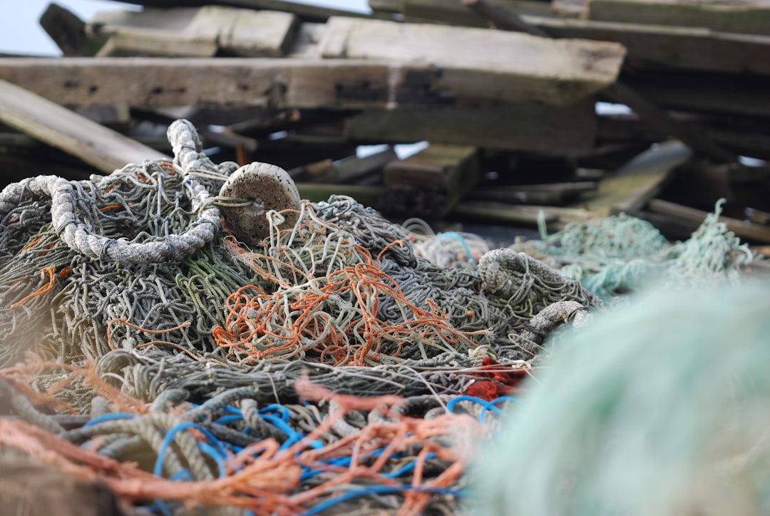 Transforming Ocean Waste: A New Furniture Revolution