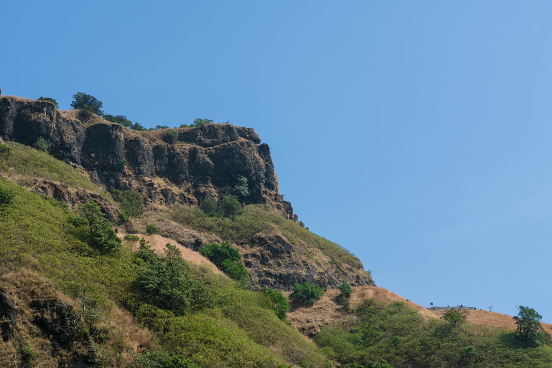 Maharashtra's Mahadrishti Plan: A New Era for Skill Development