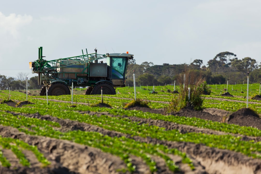 Australia's Response to US Tariffs: What It Means for Trade Relations