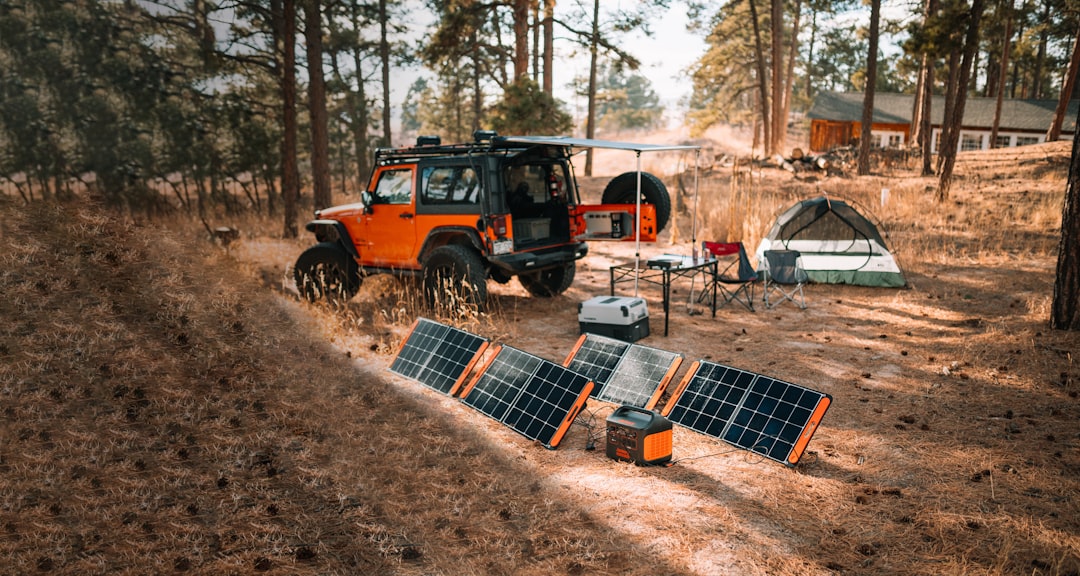 New Solar Farms to Transform Energy Landscape After Record Auction