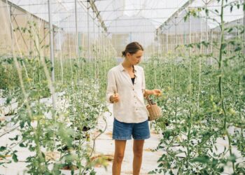 Green Capital Rises: How Eco‑Preneurship Reshapes Career Pathways and Institutional Power