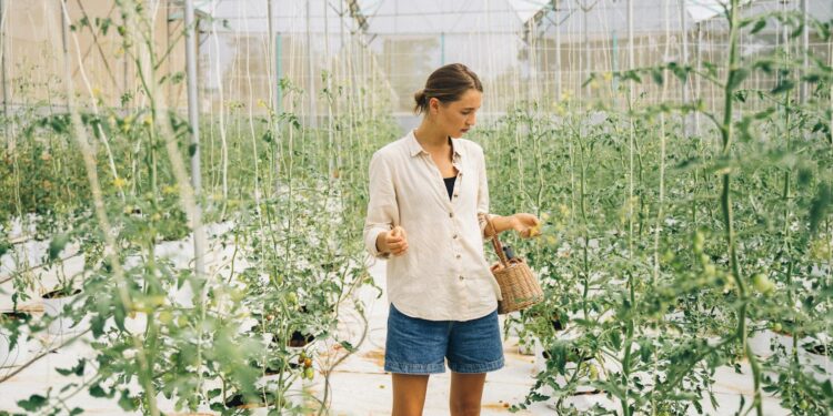 Green Capital Rises: How Eco‑Preneurship Reshapes Career Pathways and Institutional Power