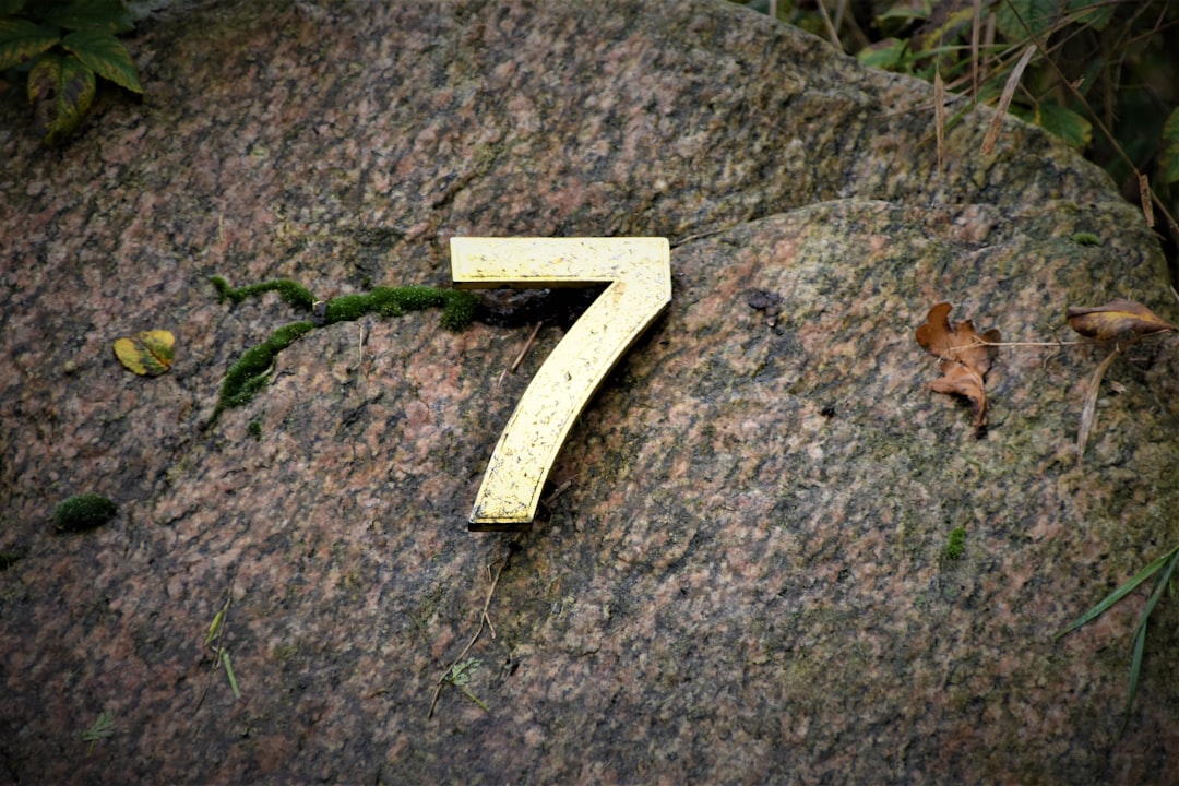 CFO Turnover Reaches Seven-Year High: What It Means for Your Career