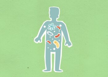 Microbiome‑Driven Wellness: Reshaping Corporate Power Structures and Career Trajectories