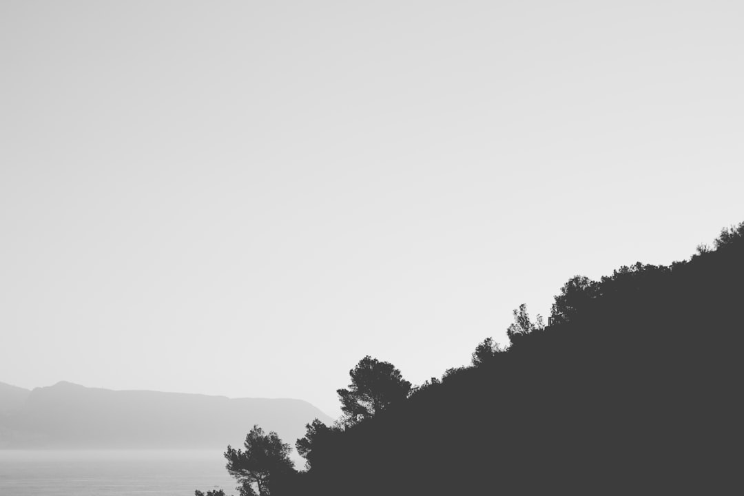 Becoming a Mental Health Nurse: Your Pathway to Impact