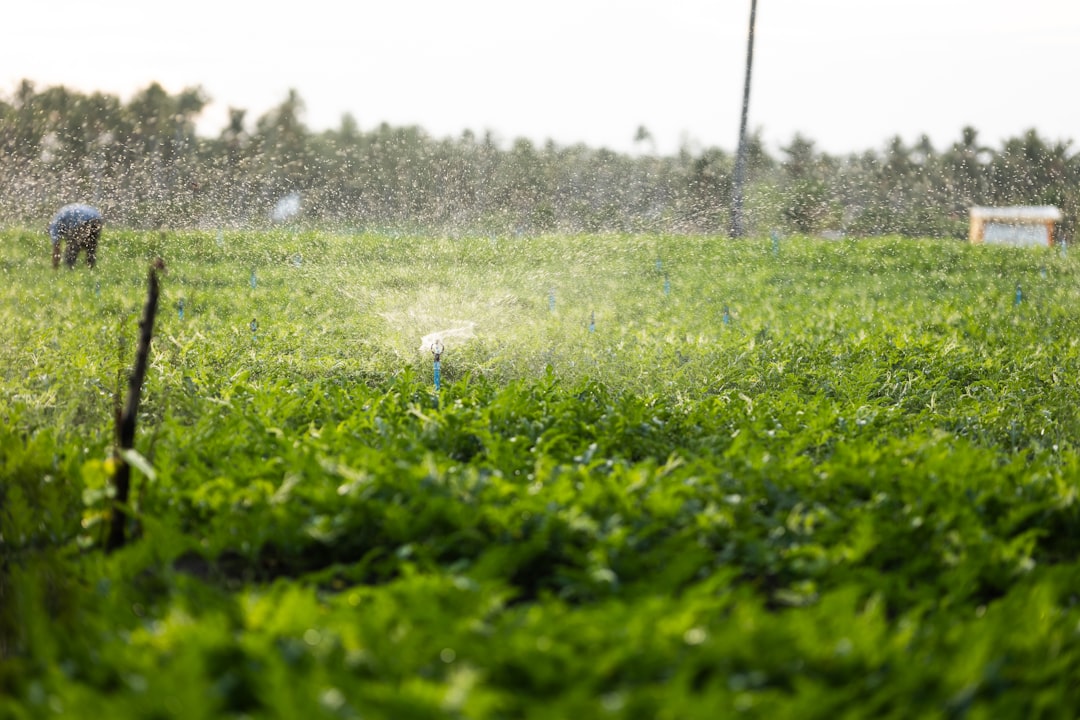 Sam Altman would like remind you that humans use a lot of energy, too