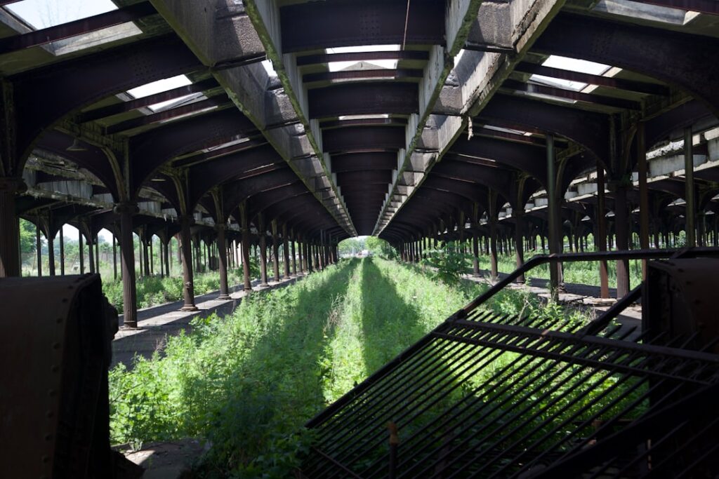 Vertical Farms vs. Open Field Farming: The Struggle for Survival