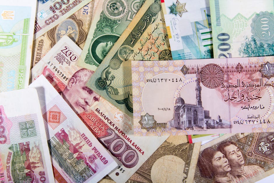 How Foreign Direct Investment Shapes Future Business Trends