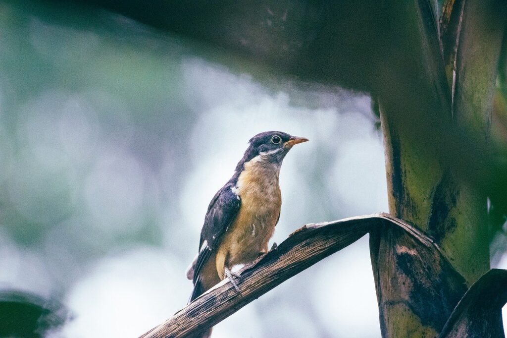 India Boosts LPG Supply to 70% for Key Industries Steel, Auto,