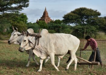 tips for students to save money