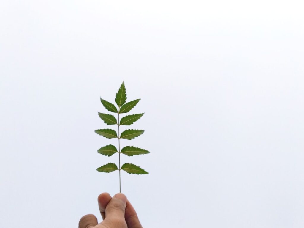 5 Key Workforce Metrics for Sustainable Business Growth