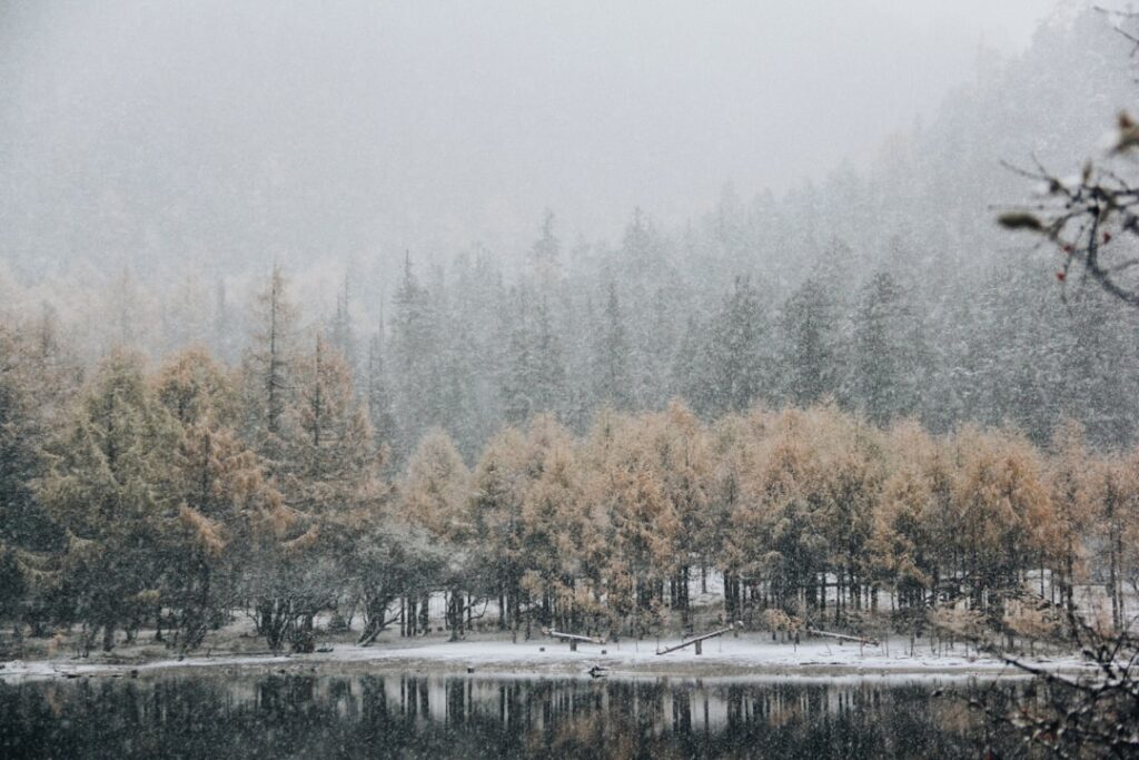 The Hidden Climate Cost of AI Queries: Energy & Water Impact