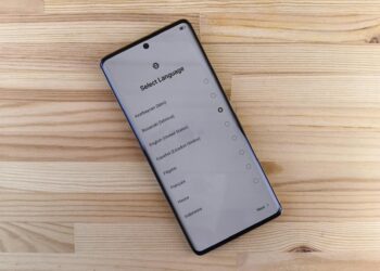 Aging Minds, Lingual Gains: How Neuroplasticity‑Driven Training Reshapes Career Capital and Institutional Power