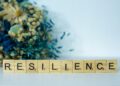 Algorithmic Upheaval and Workplace Resilience: Institutional Pathways to Mental‑Health Stability