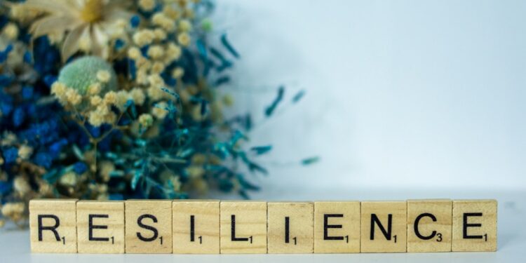 Algorithmic Upheaval and Workplace Resilience: Institutional Pathways to Mental‑Health Stability