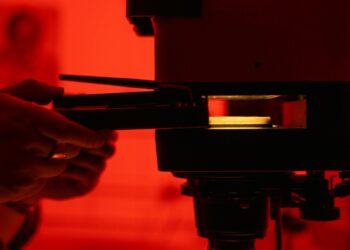 Anticipating Skills Obsolescence: The Business Imperative of Proactive Workforce Development