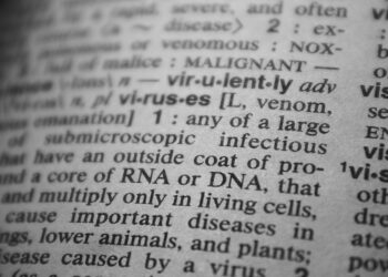 Bilingual Education as a Structural Engine for Career Capital