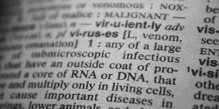 Bilingual Education as a Structural Engine for Career Capital