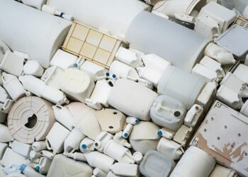 Biodegradable Plastics: Institutional Realignment and Career Capital in a Circular Economy