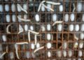 Biomaterials Redefine Healthcare Product Cycles, Reshaping Careers and Institutional Power