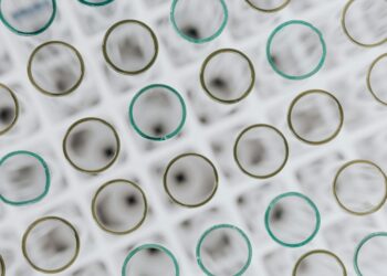 Biotech’s Structural Surge: How Precision Medicine Is Redefining Career Capital