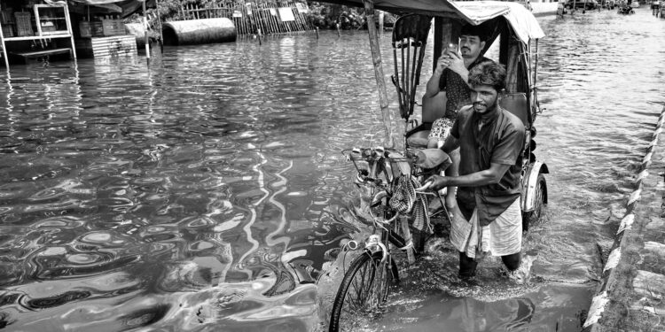 Climate‑Resilient Cities: The New Competitive Frontier for Business After 2024