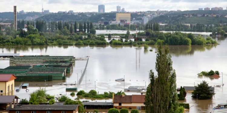 Climate‑Risk Realignment: How Institutional Portfolios Are Redrawing the Risk Landscape