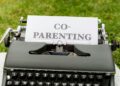 Co‑Viewing as a Structural Lever: How Shared Media Shapes Parenting, Labor Markets, and Institutional Power