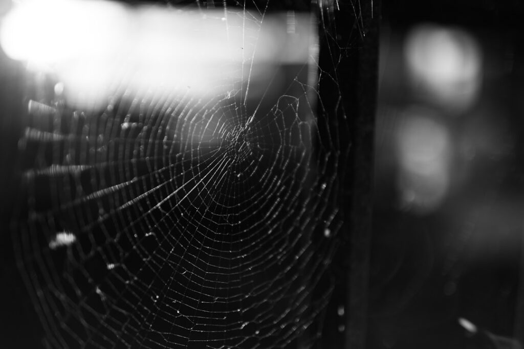 Dark‑Web CaaS: Structural Shifts Redefining Online Safety and Career Capital