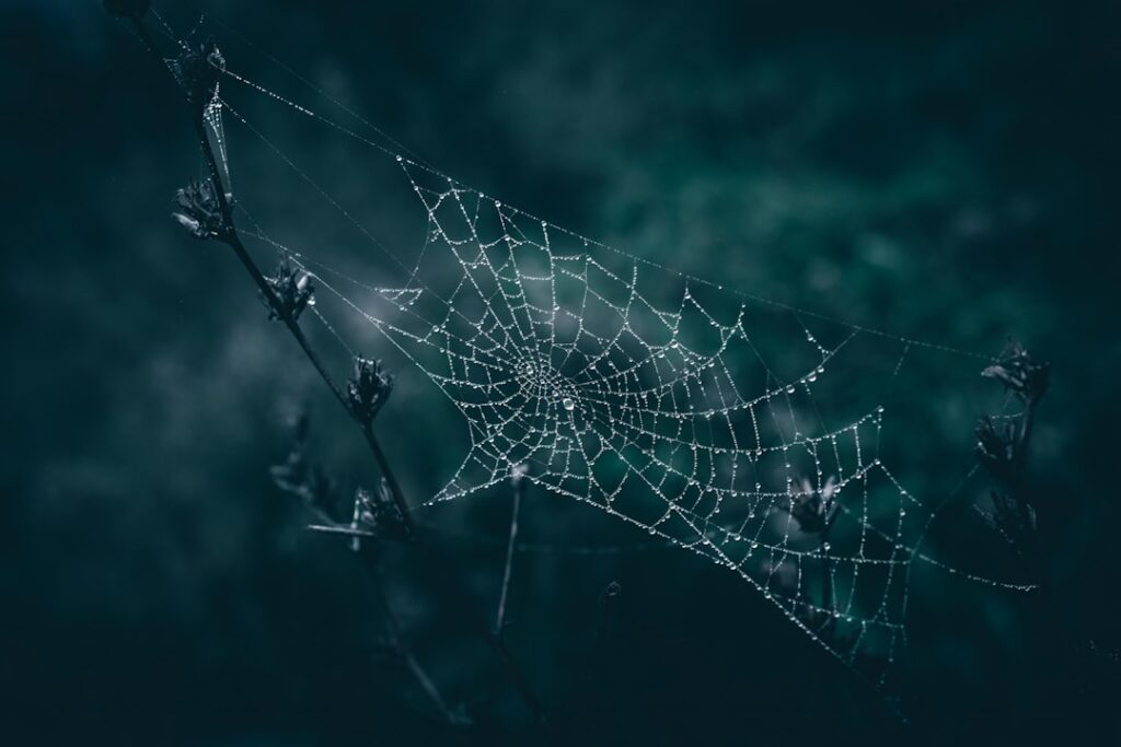 Decentralized Tech’s Labor Leap: How Web3 Is Reshaping Main‑Street Careers