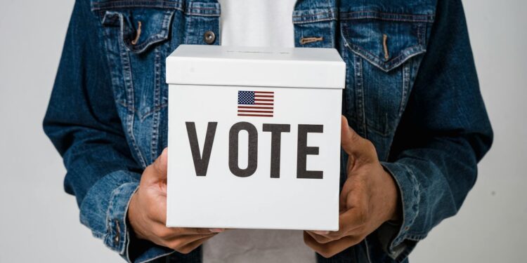 Digital Activism Reshapes the 2024 Midterms: Structural Shifts in Turnout, Finance and Integrity