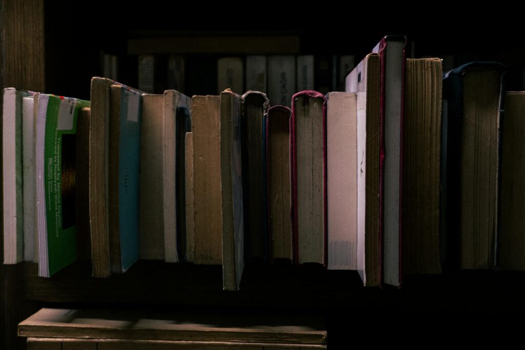 Digital Archives Redefine Literary Heritage: Systemic Shifts in Preservation, Access, and Career Capital