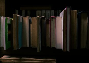 Digital Archives Redefine Literary Heritage: Systemic Shifts in Preservation, Access, and Career Capital