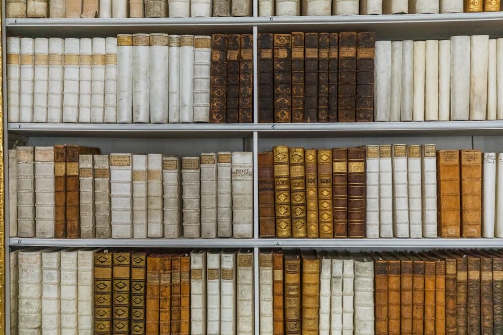 Digital Archives Redefine Literary Heritage: Systemic Shifts in Preservation, Access, and Career Capital
