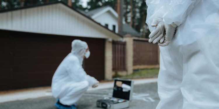 Digital Forensics Ascendant: How the Surge in Online‑Safety Specialists Reshapes Career Capital and Institutional Power