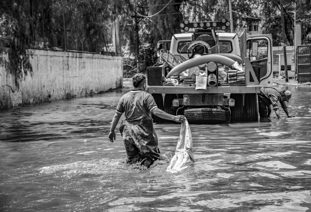 Disaster‑Resilient Careers: Occupational Standards Redefine Professional Trajectories in a Warming World