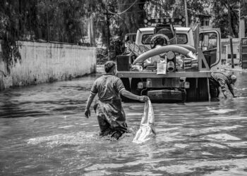 Disaster‑Resilient Careers: Occupational Standards Redefine Professional Trajectories in a Warming World