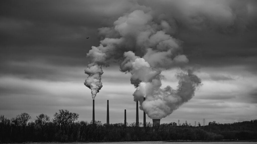Executive Pay Meets Environmental Justice: How New Rules Are Redefining Leadership Value