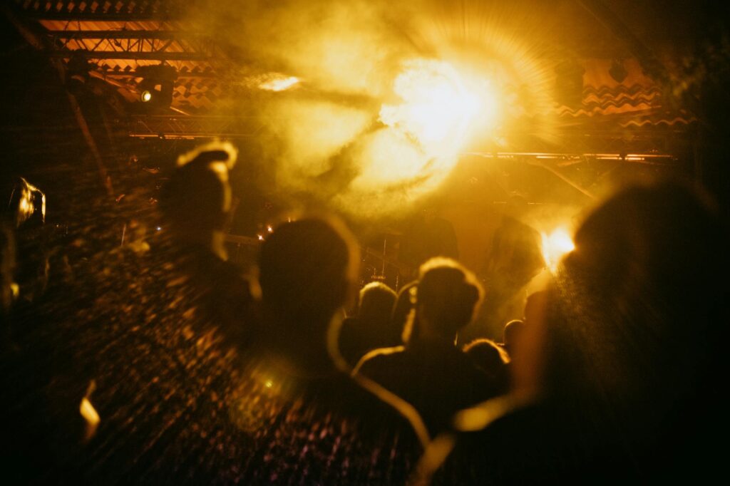 Festival Fever: Live Music’s Emerging Role as a Mental‑Health Infrastructure