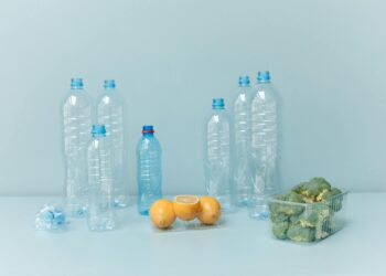 Food Waste as a Hidden Drag on Global Capital Flows