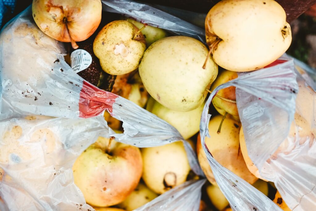 Food Waste as a Hidden Drag on Global Capital Flows