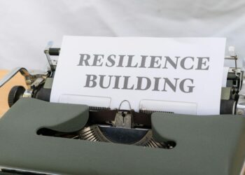 From ‘E‑Resilience’ to ‘Meta‑Resilience’: Redefining Professional Capital in an Era of Systemic Risk