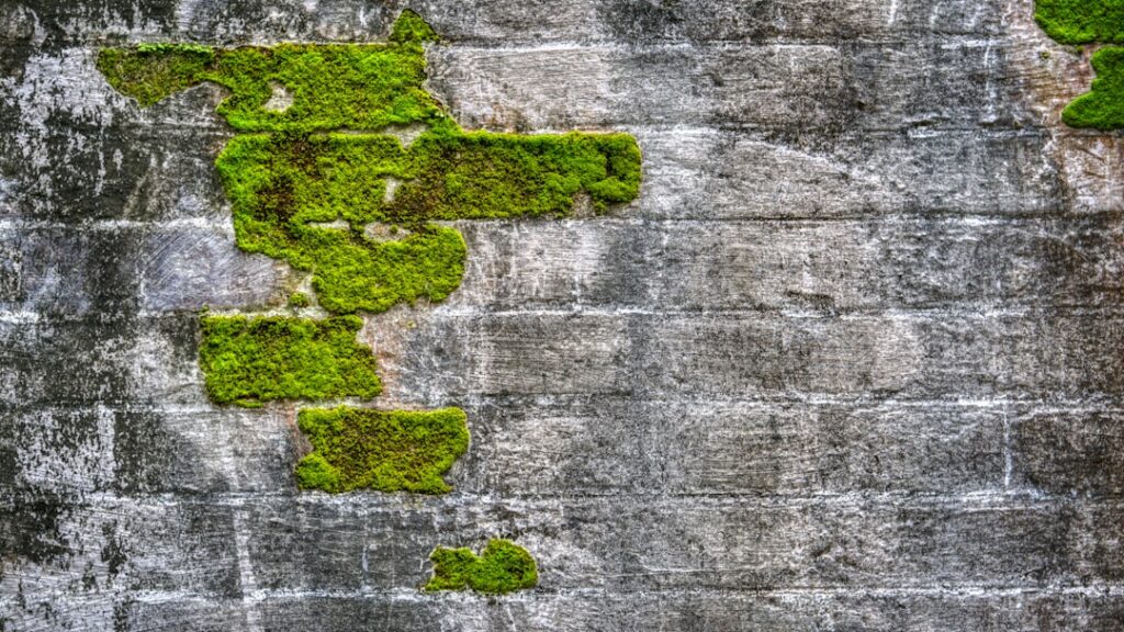 Green Bonds as a Structural Lever for Sustainable Growth: A Comparative Regulatory Review
