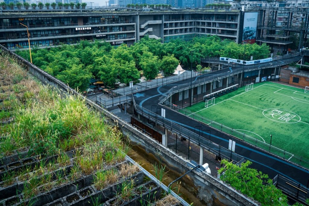 Green Codes, Gray Skies: How Building Regulations Are Redefining Urban Sustainability