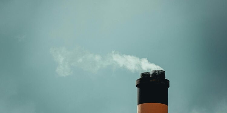 Green Policy, Talent Flow: How Climate Legislation Reshapes Workforce Capital in Renewable Sectors