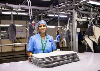 Hybrid Workers, Structural Mobility: How Transferable Skills Are Re‑engineering Career Trajectories