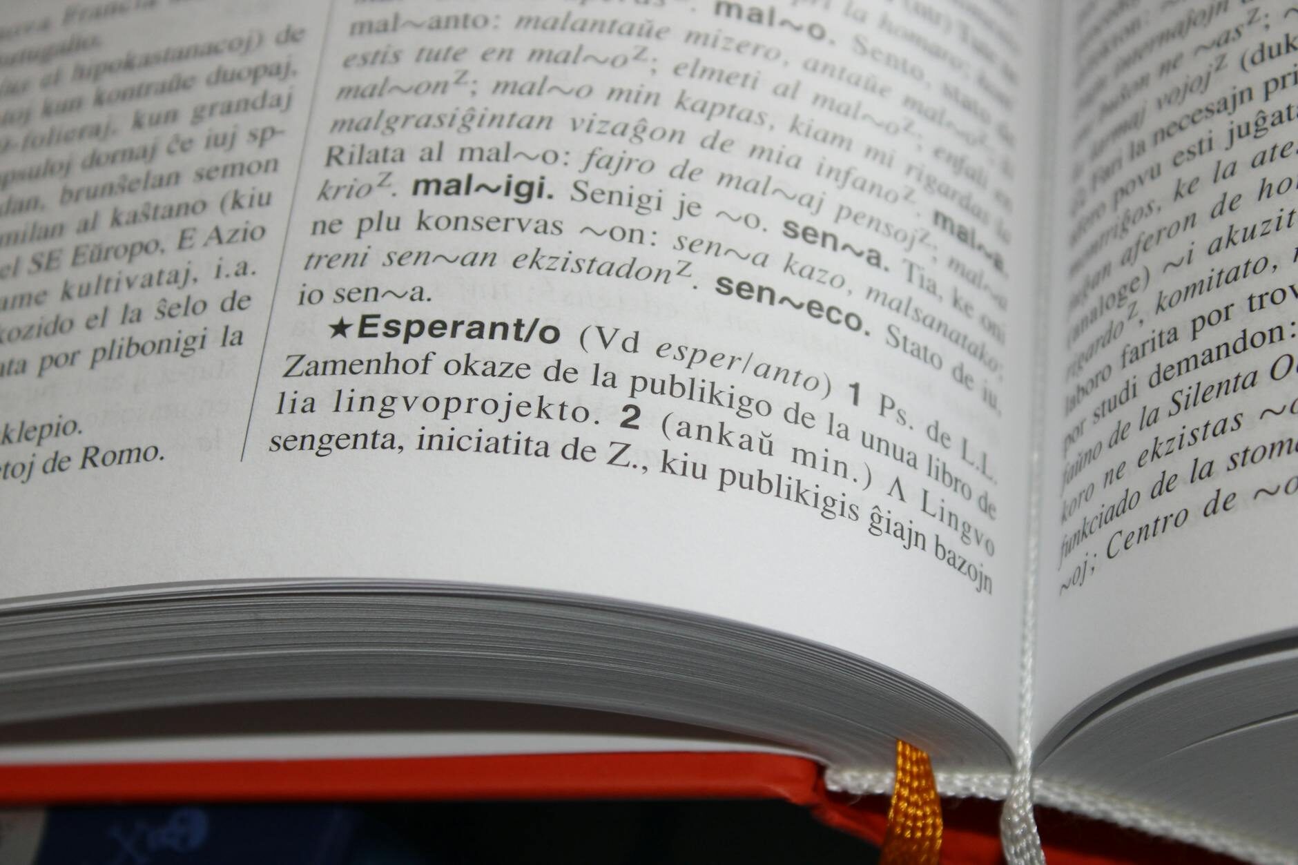 Language Standardization’s Hidden Toll: How Institutional Policies Reshape Career Capital in Multilingual Communities