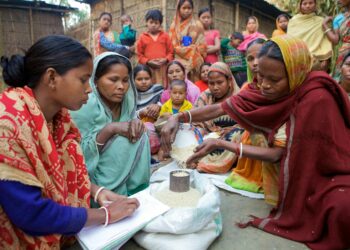 Local Power Shifts: How Community Development Programs Are Re‑Engineering Job Growth and Inflation